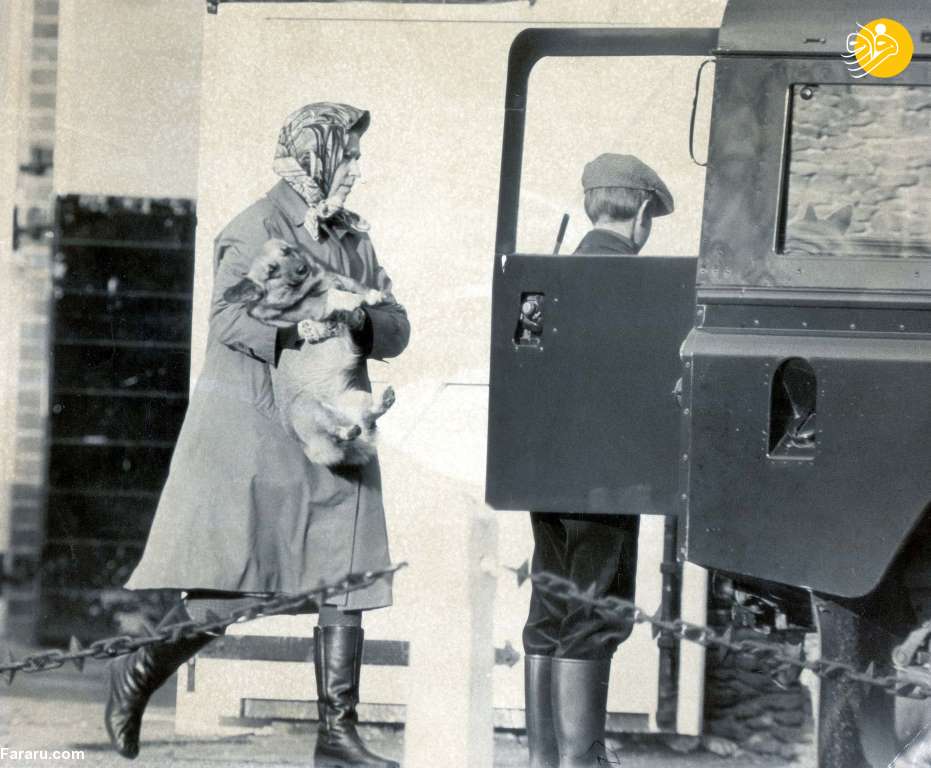 (تصاویر)