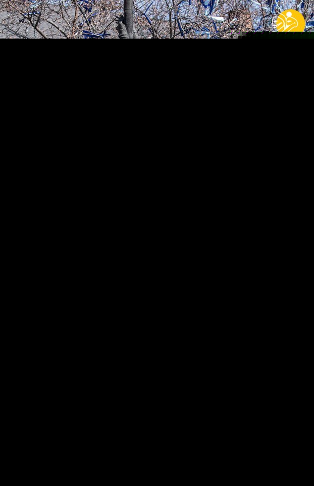 (تصاویر)