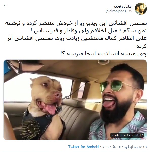 سلبریتی که میخواهد به هر قیمتی دیده شود! سلبریتی که میخواهد به هر قیمتی دیده شود!