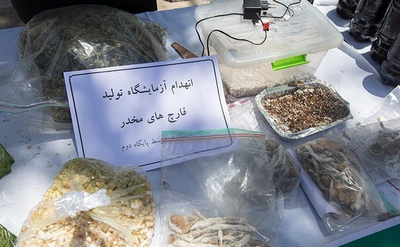 (عکس) جزئیات کشف یک نوع قارچ سمی و مخدر مرگبار در کشور (عکس) جزئیات کشف یک نوع قارچ سمی و مخدر مرگبار در کشور