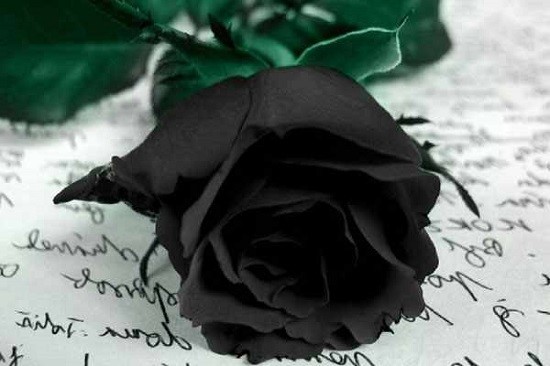 اس ام اس و پیام تسلیت به مناسبت فوت همسر اس ام اس و پیام تسلیت به مناسبت فوت همسر