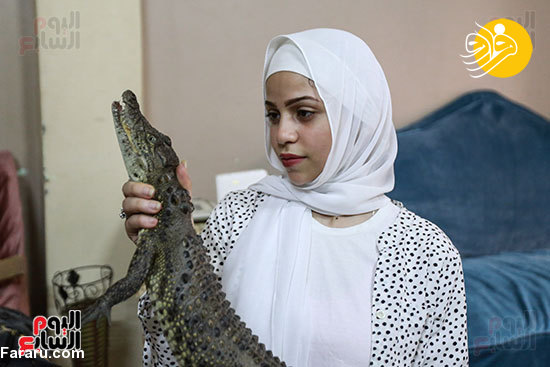 (تصاویر)