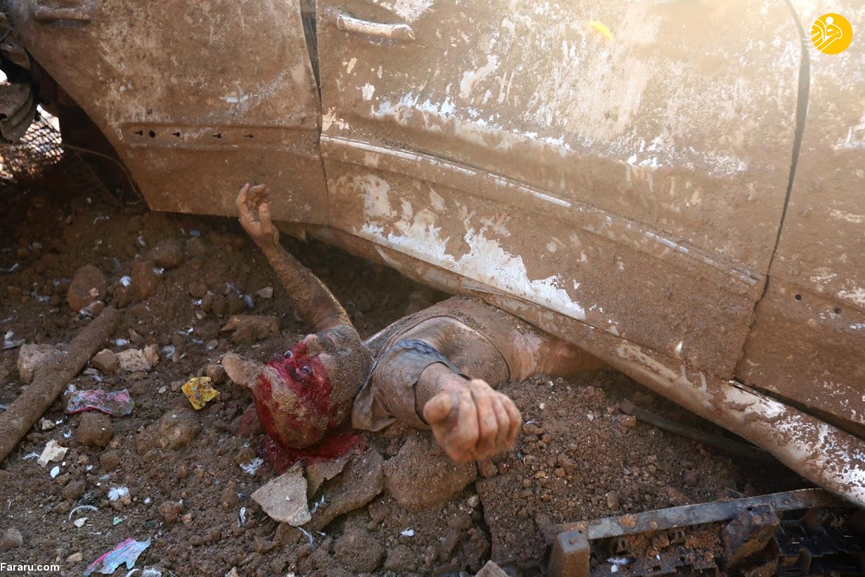 (تصاویر)
