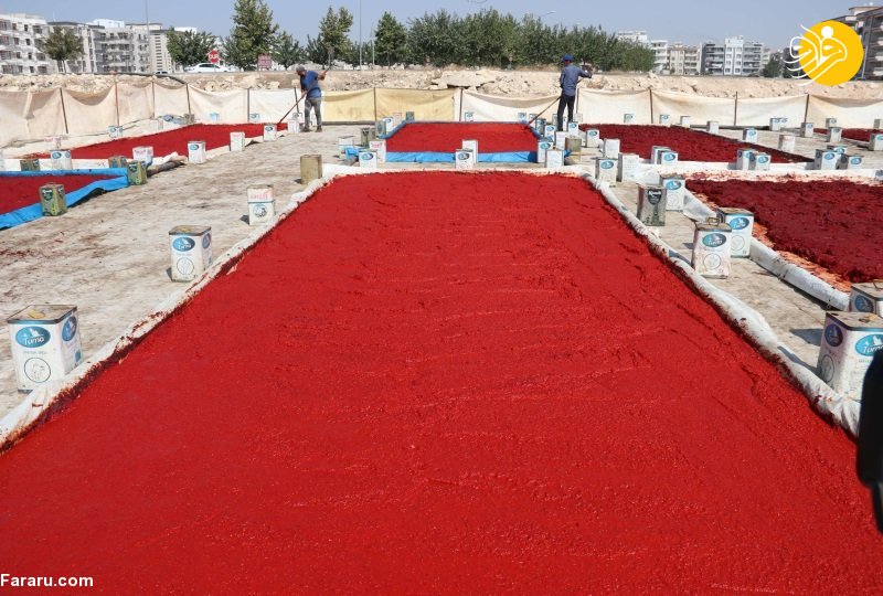 (تصاویر)