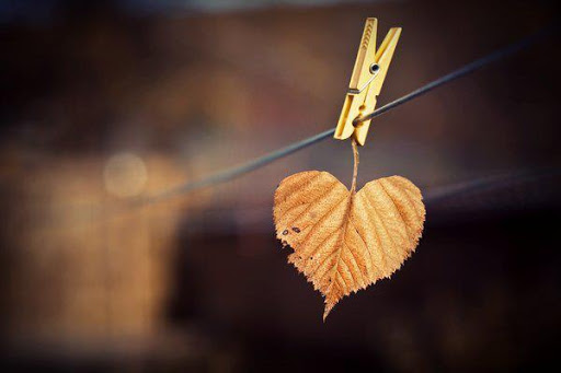 جملات احساسی و عاشقانه خاص پاییز جملات احساسی و عاشقانه خاص پاییز