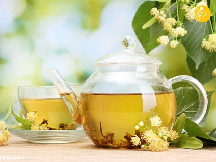 چای لیندن چه فوایدی برای بدن و ذهن دارد چای لیندن چه فوایدی برای بدن و ذهن دارد
