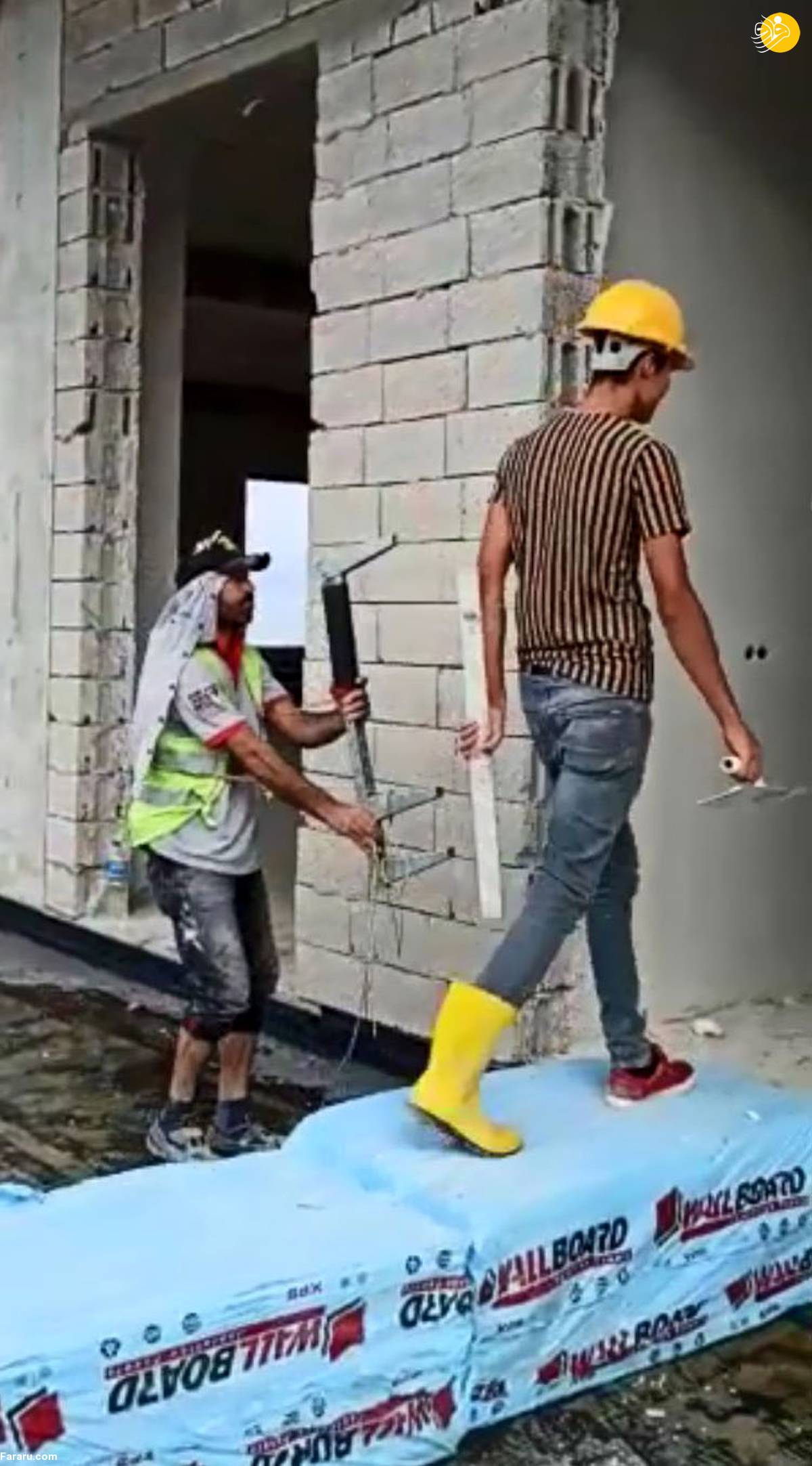 (ویدئو)