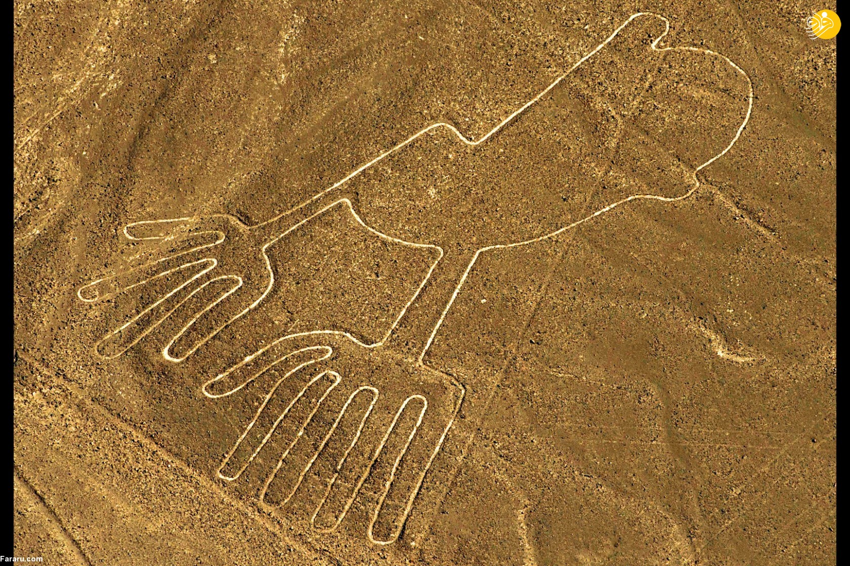 (تصاویر)