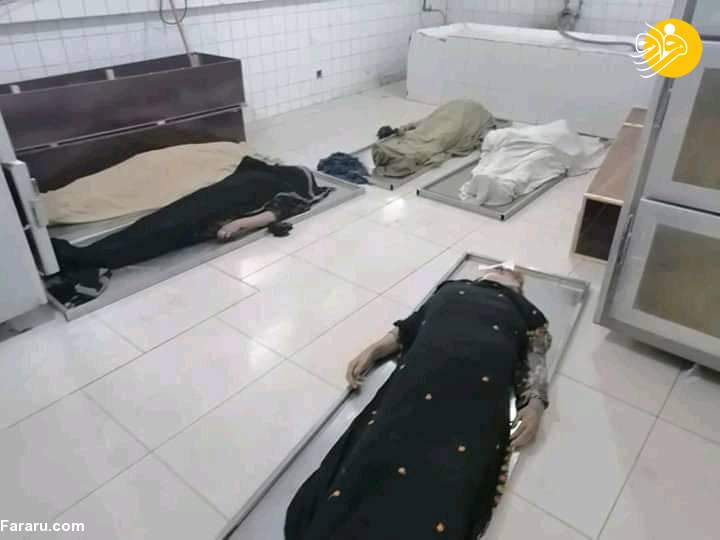 (تصاویر)