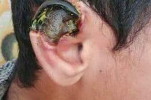 تبلیغات عجیب؛ بدون خط و خش، تنها با ۲۵۰هزارتومان کشتی‌گیر شوید!