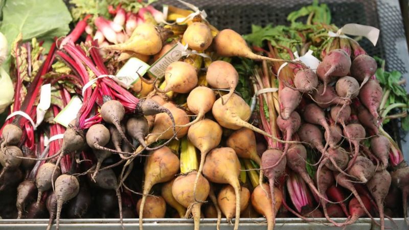 آیا با رژیم غذایی گیاهی می‌توان لاغر شد؟