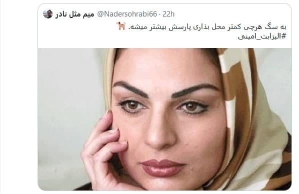 (تصاویر) کامنت توهین آمیز الیزابت امینی درباره شهید فخری‌ زاده؛ الیزابت امینی درباره ترور شهید فخری زاده چه گفت؟