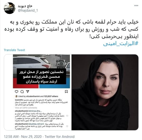(تصاویر) کامنت توهین آمیز الیزابت امینی درباره شهید فخری‌ زاده؛ الیزابت امینی درباره ترور شهید فخری زاده چه گفت؟