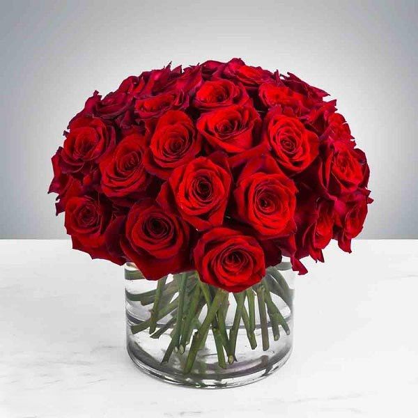 زیباترین پیام‌های تبریک نامزدی به دوست///