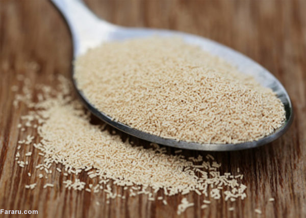 پودر خمیر مایه