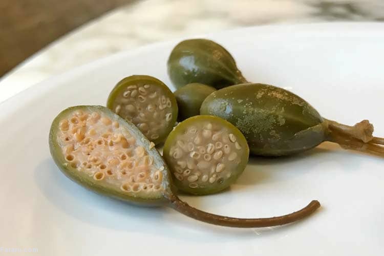 کاشت گیاه کاپاریس