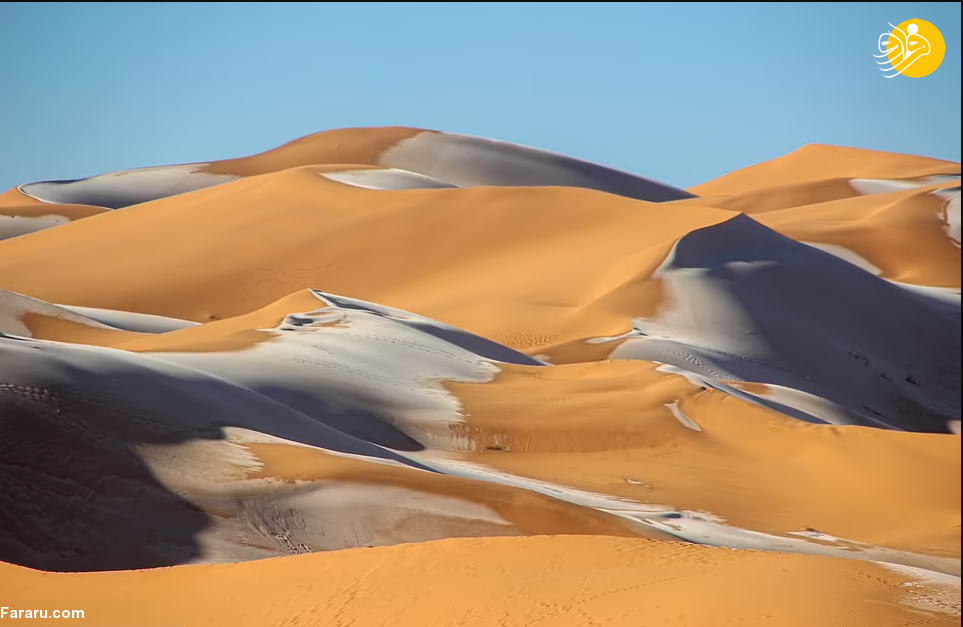 (تصاویر)
