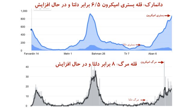 «قله مرگ» در کرونای اومیکرون بالاتر از دلتا