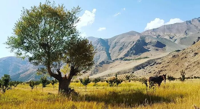 مناظر کارت پستالی در همسایگی تهرانی