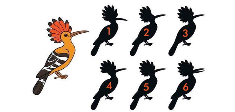 معمای تصویری ۵