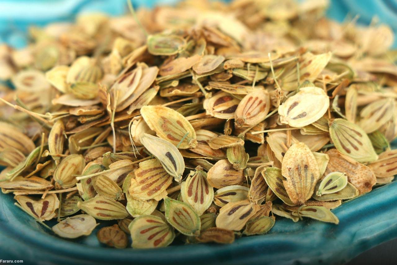 با خواص گلپر