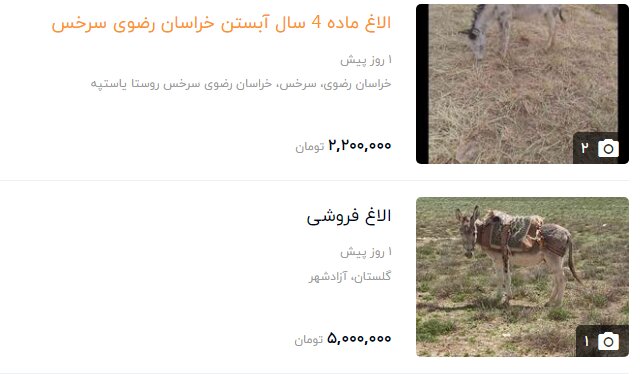 قیمت الاغ 