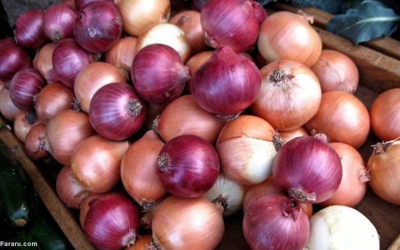طرز تهیه خورش چغاله بادام؛ خورش خوشمزه فصل پیاز