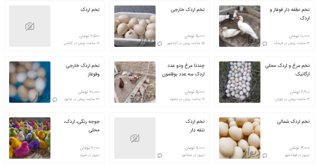 تخم مرغ محلی، اردک، غاز، بوقلمون و شتر مرغ چند؟