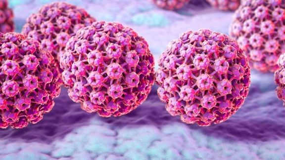 HPV چیست و چگونه درمان میشود؟