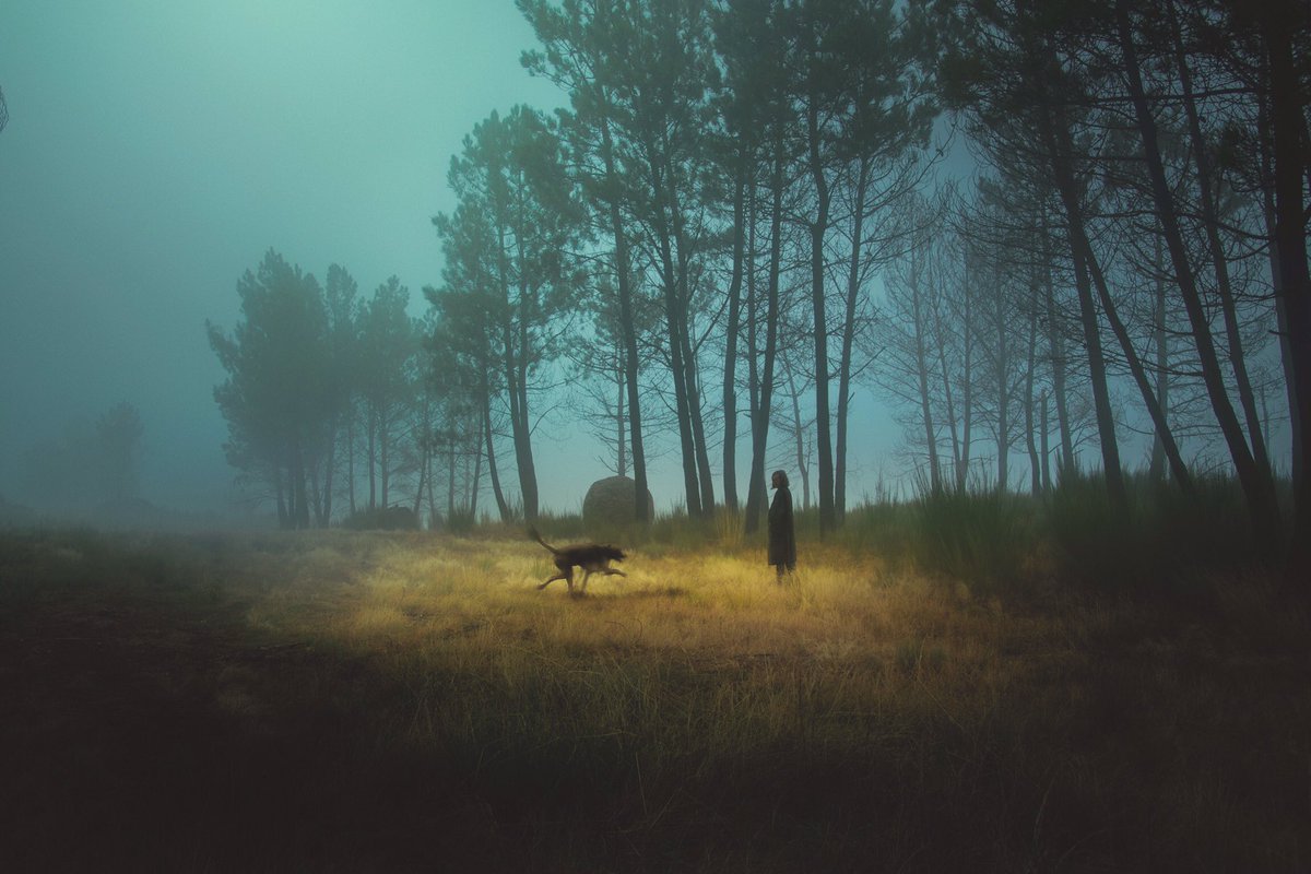 عکاسی از ابهام مه‌آلود منظره‌ها