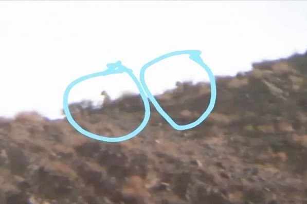 یوز