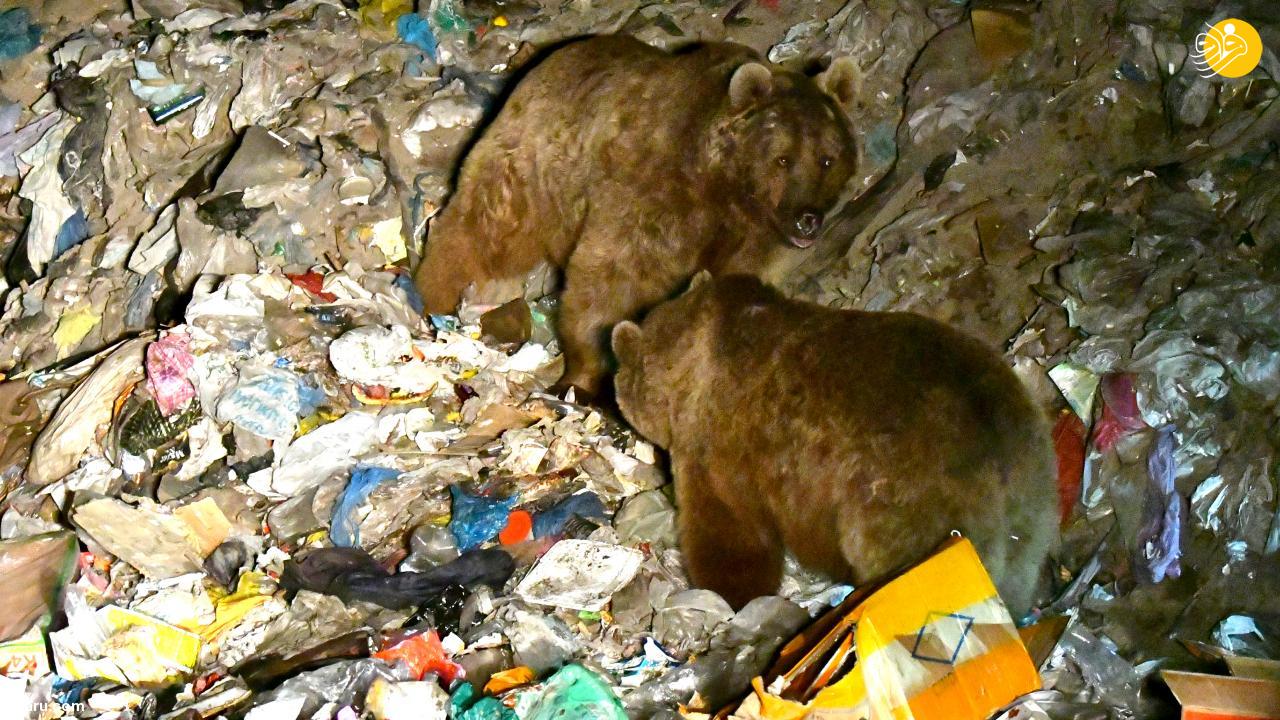 (تصاویر)