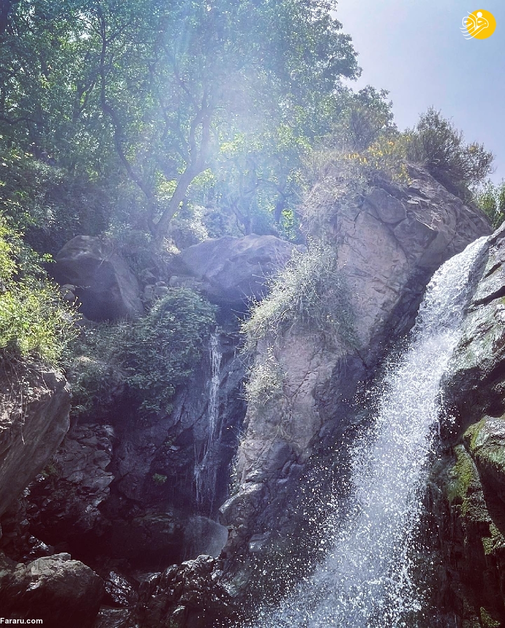 (عکس)