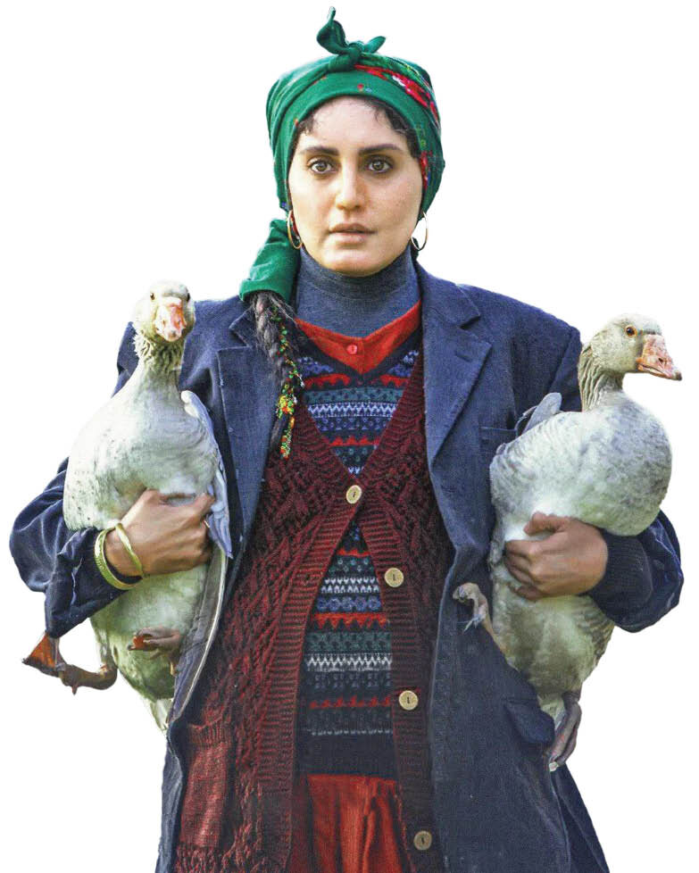 تی تی