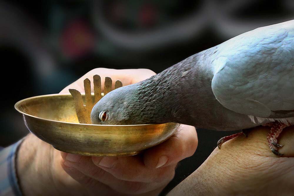 یدالله عبدی ۲
