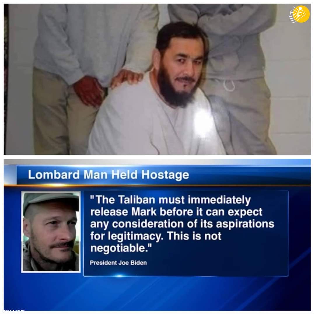 (ویدئو)