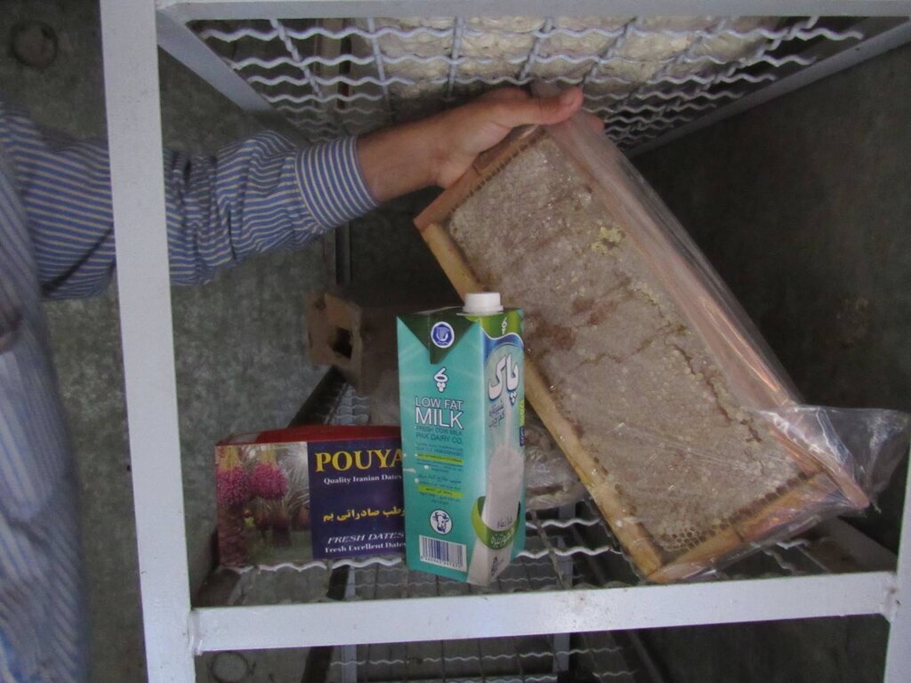 منوی میلیاردی
