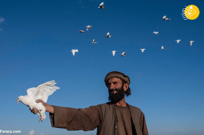 (تصاویر)
