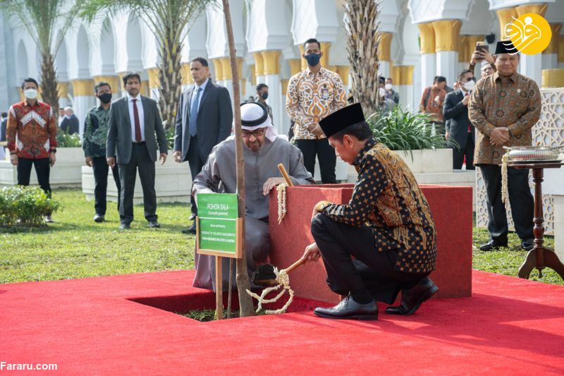 (تصاویر)
