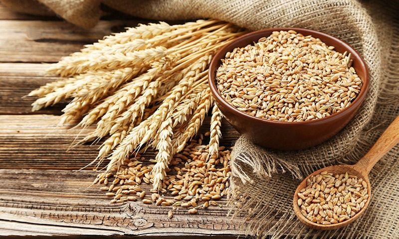 ۶ راهکار طلایی و موثر برای کاهش وزن سریع