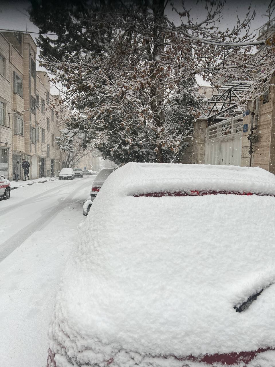 (ویدئو) تصاویری ناب از اولین برف زمستانی تهران