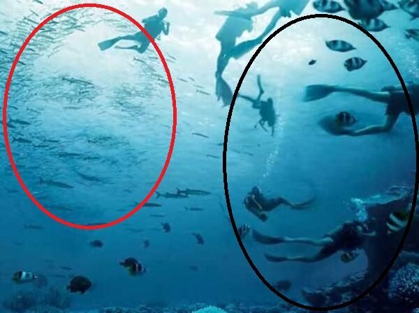 &nbsp;حس ششم و قدرت پیشگویی شما چقدر است؟