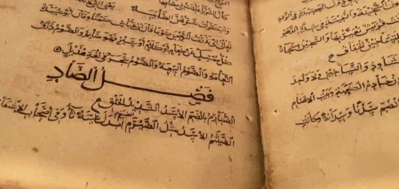 (تصاویر)