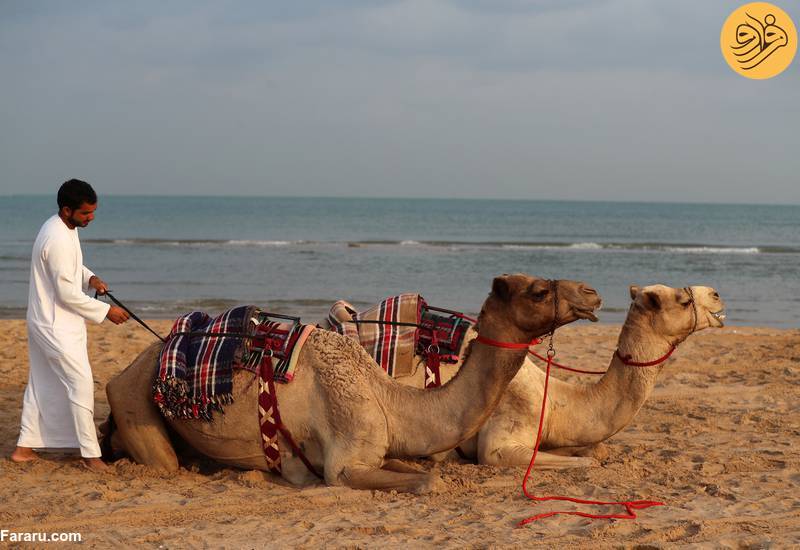 (تصاویر)