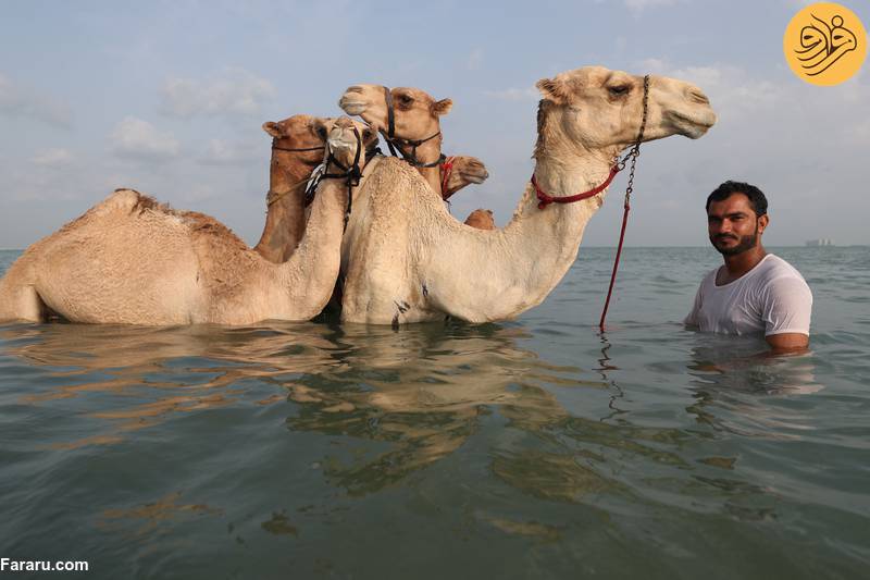 (تصاویر)