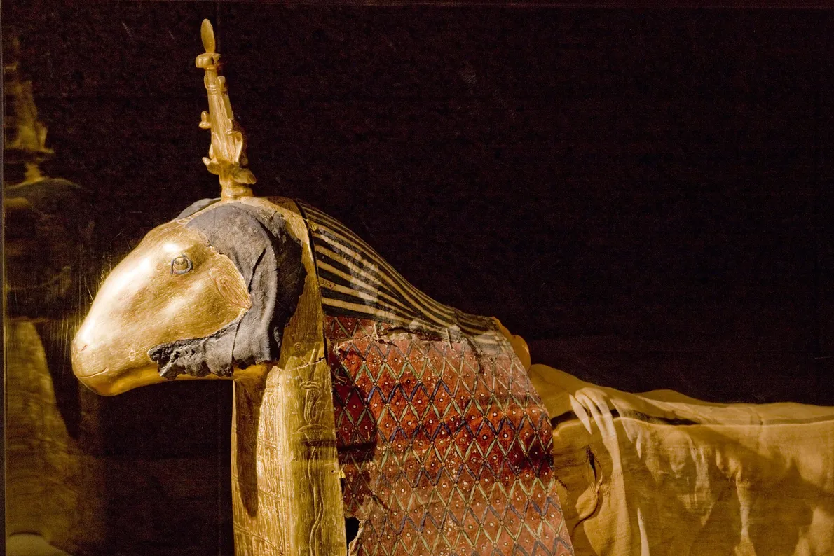 تصاویری از عجیب‌ترین مومیایی‌های مصری؛ از مومیایی گربه تا تابوت موش!