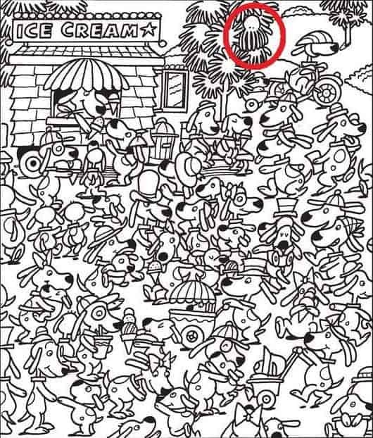 اختاپوس پنهان در تصویر را پیدا کنید