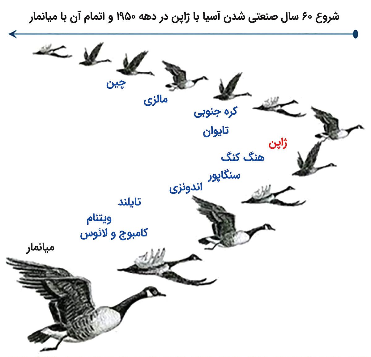 الگوی پرواز غازها