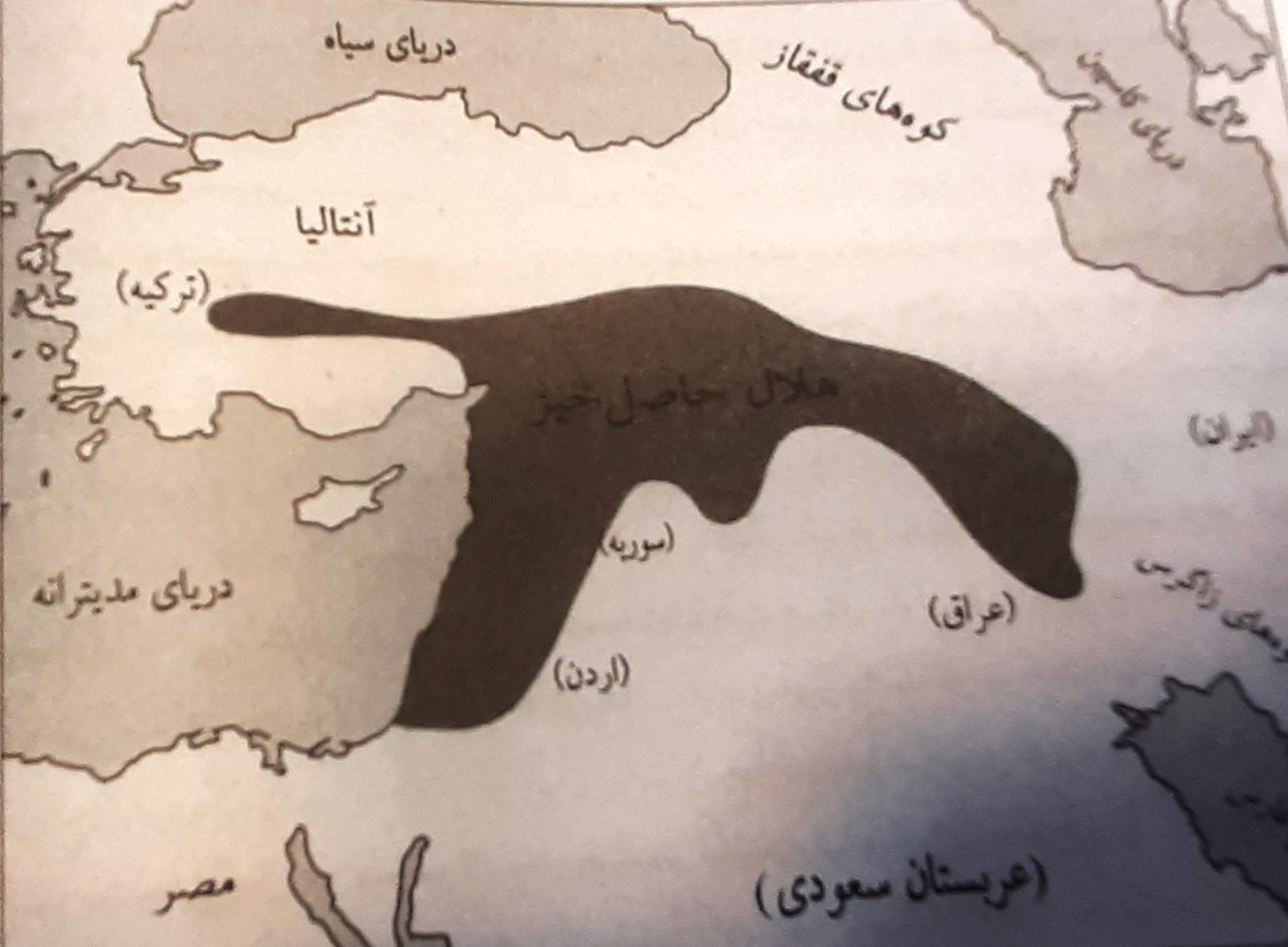 خوراکی‌هایی که در زمان باستان رواج داشتند؛ علت عجیب آدم‌خواری مردم گینه نو!