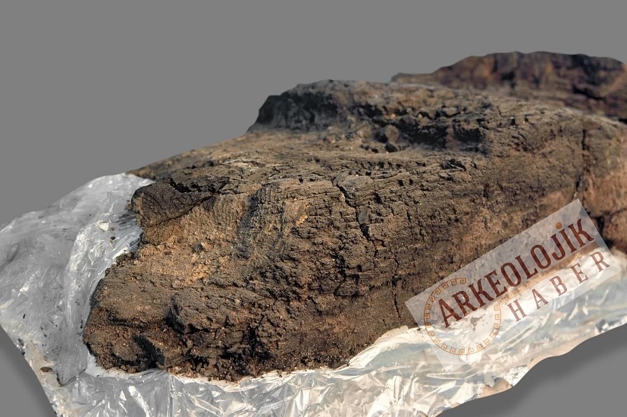 تصویر3 تصویر3